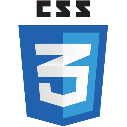 css3